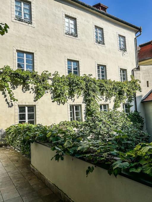 18th Century Under Castle * Praga